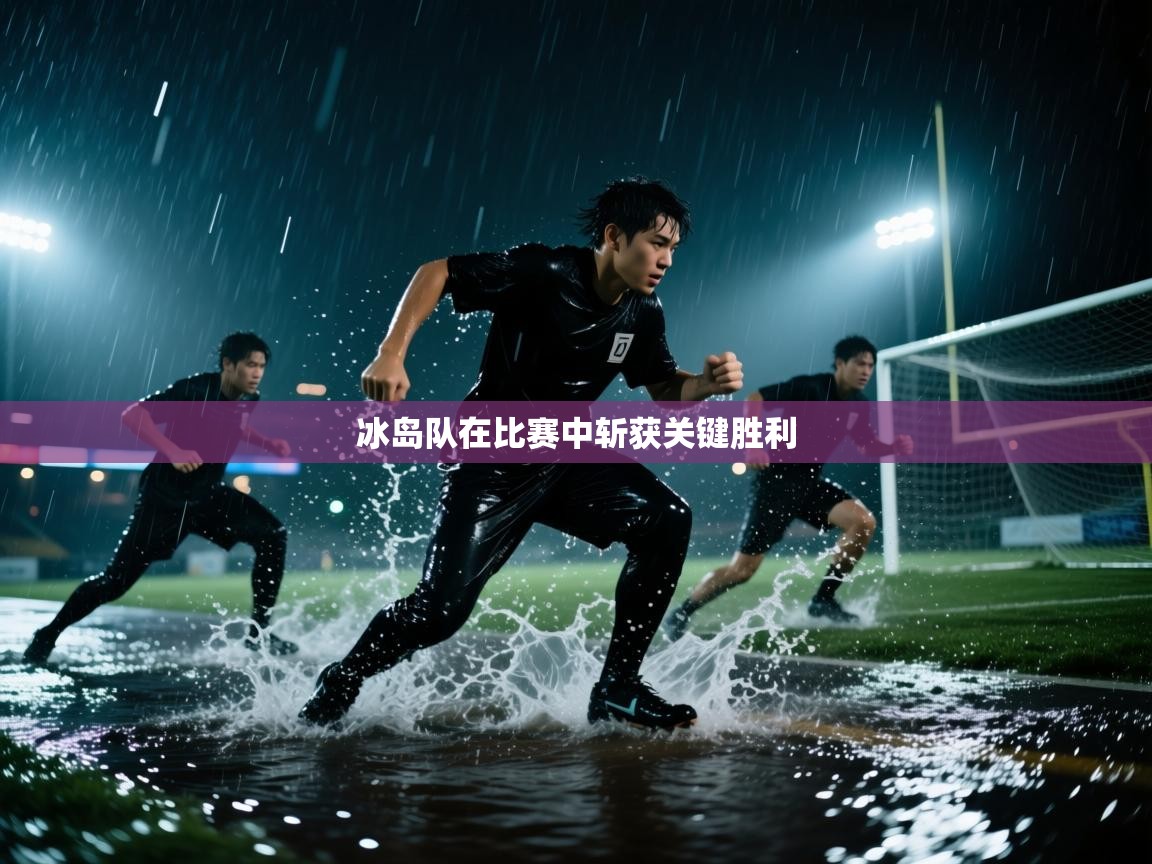 冰岛队在比赛中斩获关键胜利  第1张