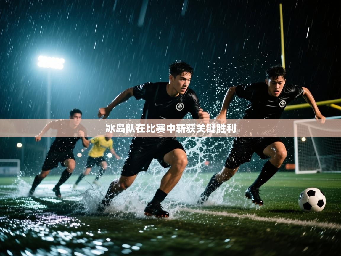 冰岛队在比赛中斩获关键胜利  第2张
