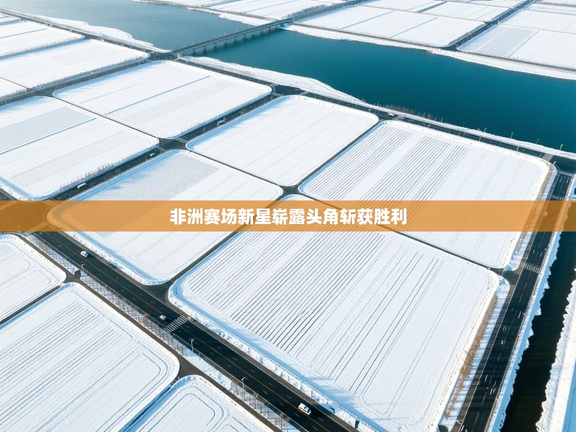 非洲赛场新星崭露头角斩获胜利 第2张