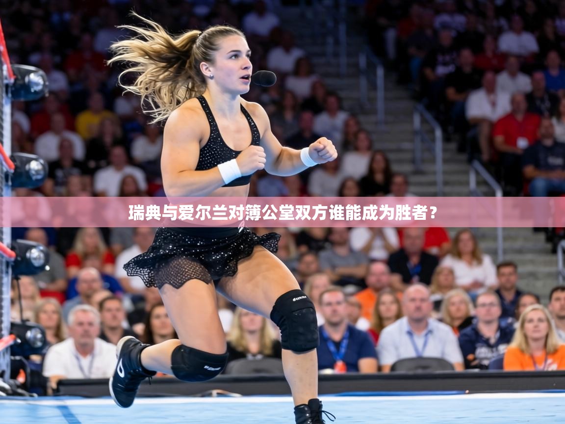 瑞典与爱尔兰对簿公堂双方谁能成为胜者？  第2张